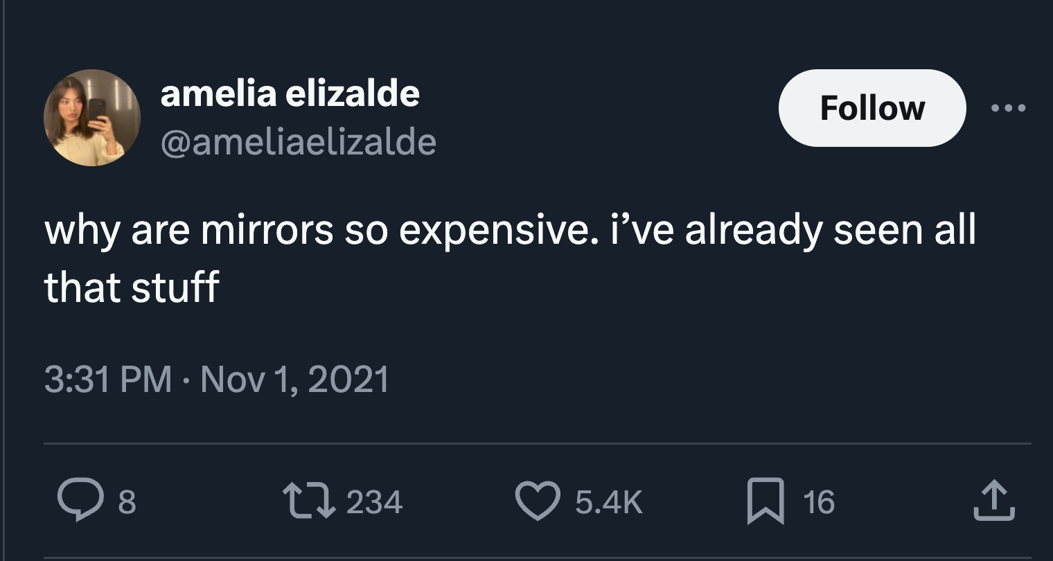 screenshot - amelia elizalde why are mirrors so expensive. i've already seen all that stuff 8 17234 16